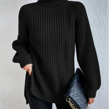 Basic Comfort Turtleneck